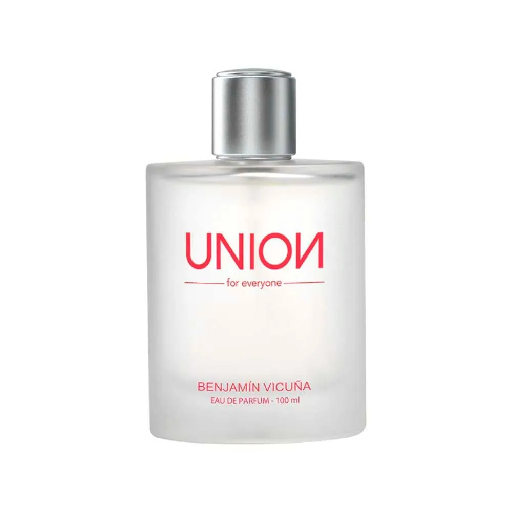 B Vicuña Union EDP