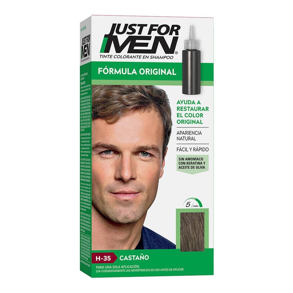 Just For Men Castaño Shampoo Anticana