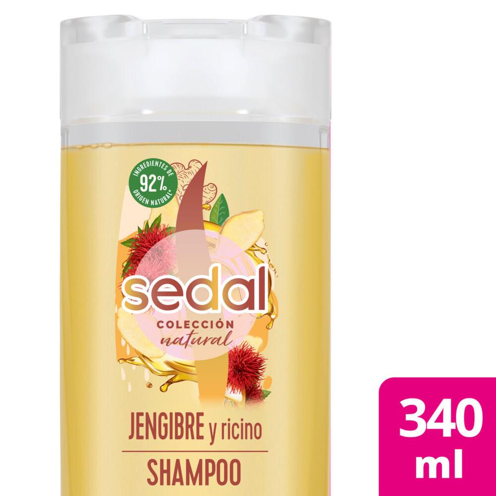 Sedal Jengibre y Ric Infusion Activa Shampoo